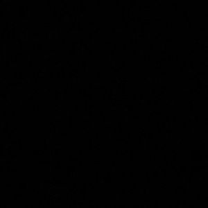 Meet your Posher, Rebeccah